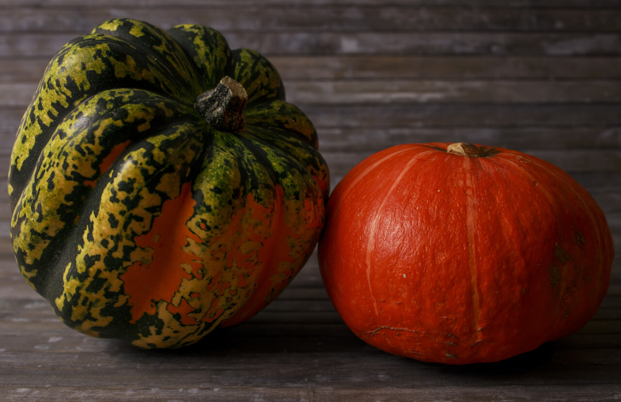 Two pumpkin on wooden background