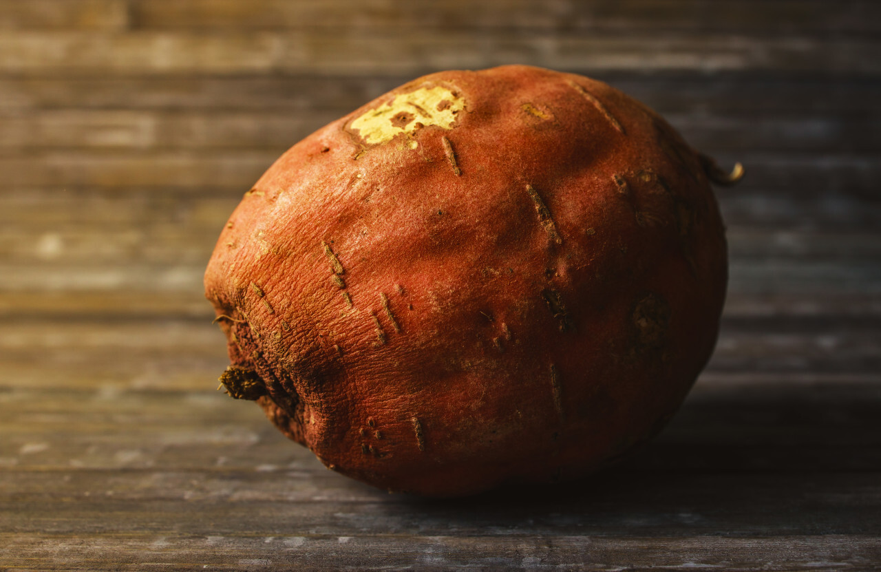 Wrinkled sweet potato on wooden background