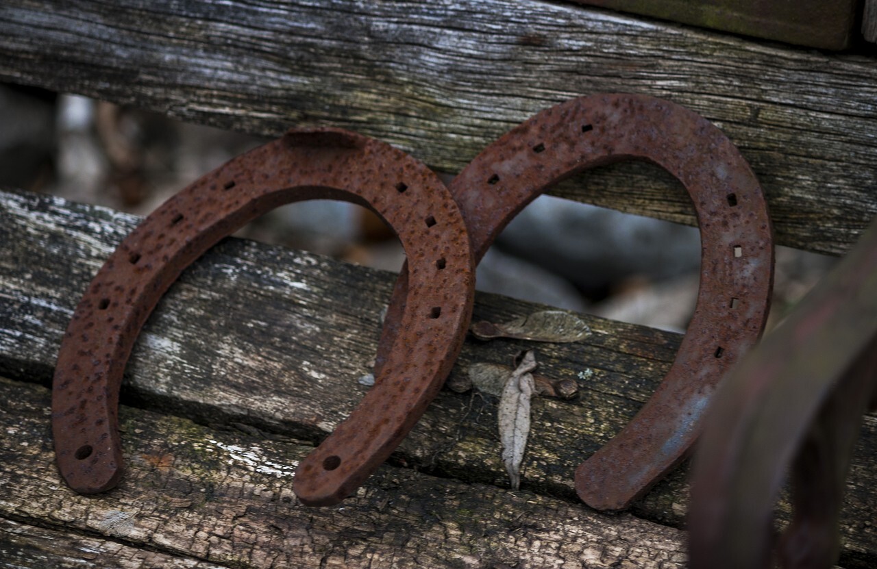 old rusty horseshoes