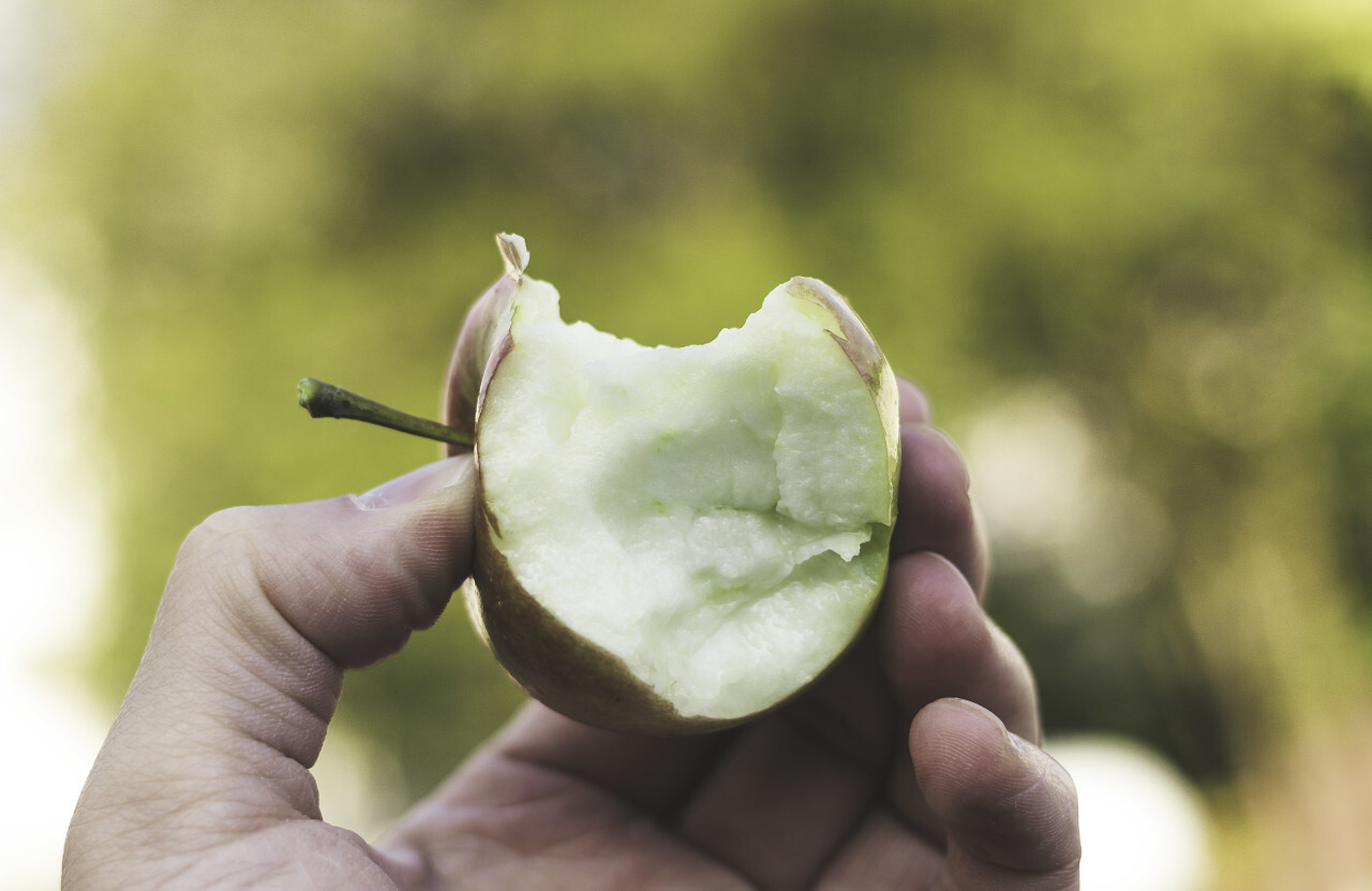 bitten apple in hand