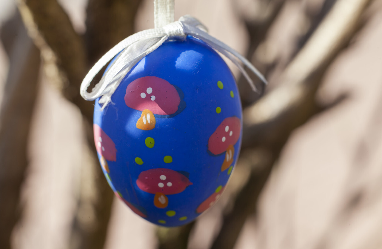 Blue easter egg hanging on a tree