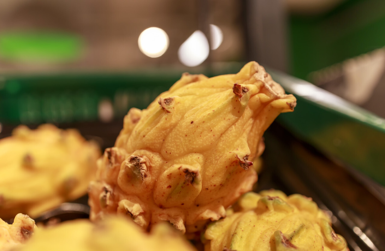 Yellow pitaya in a supermarket