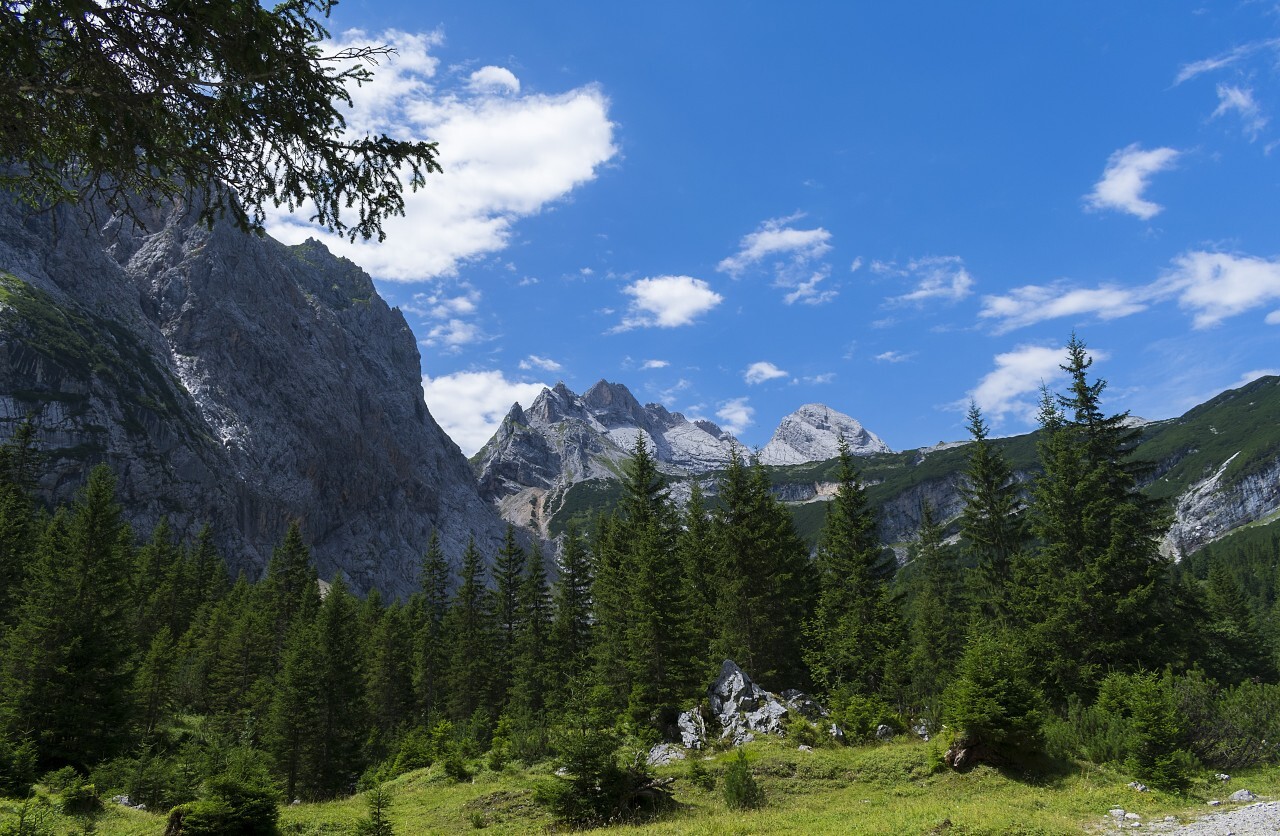 forest and mountains zugspitze