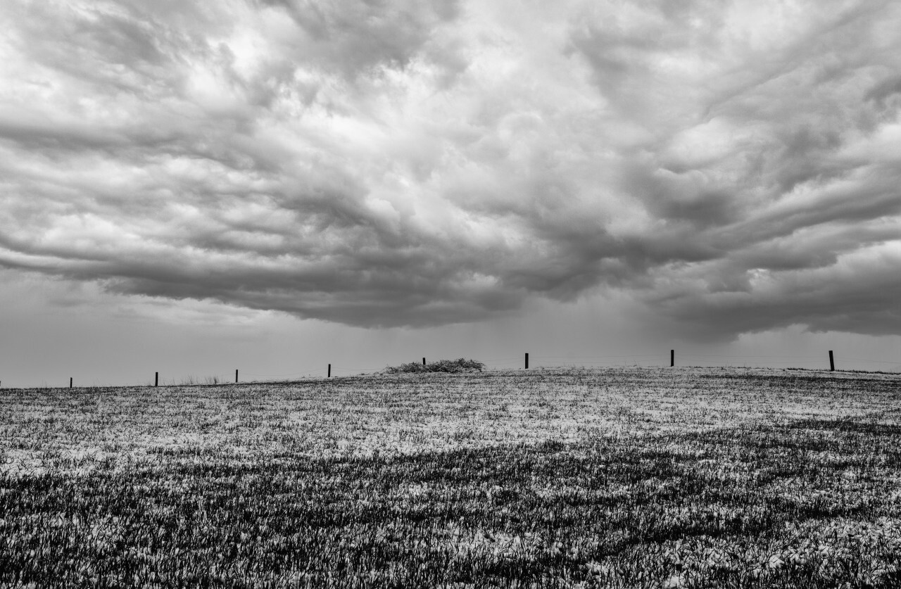 Snow storm over a field