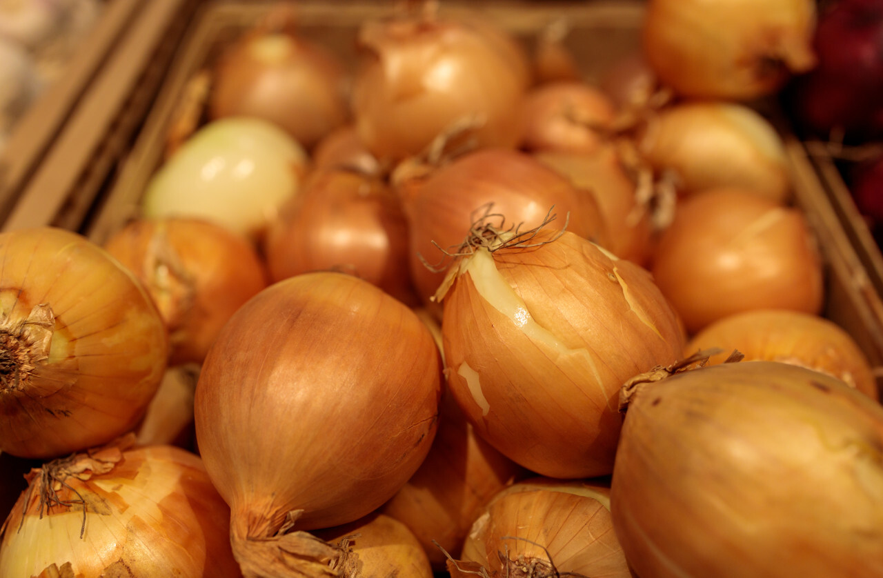 Onions in the supermarket