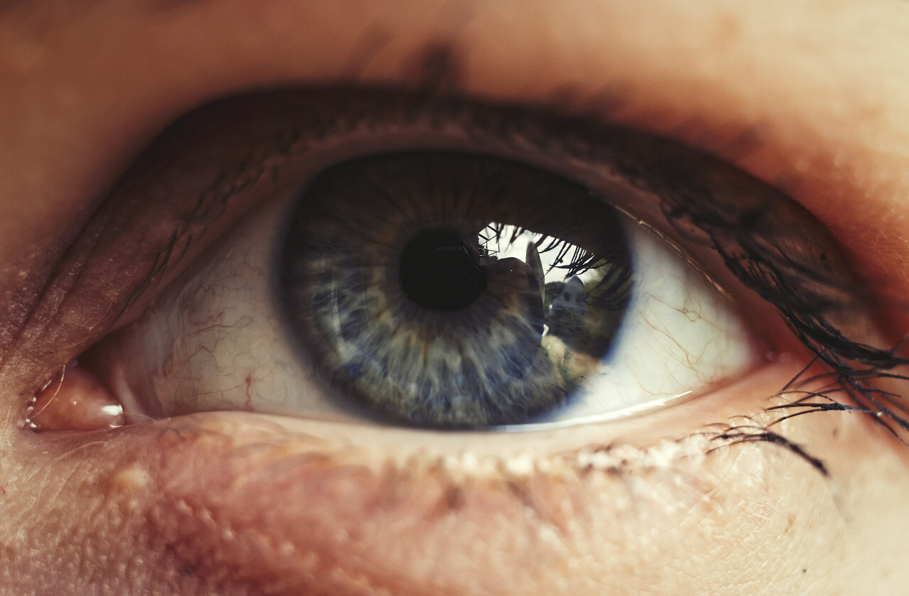 Close up view of beautiful blue female eye