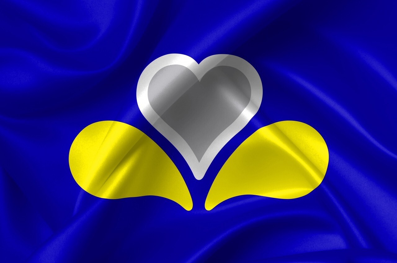 Brussles Capital regional flag, Belgium country symbol illustration