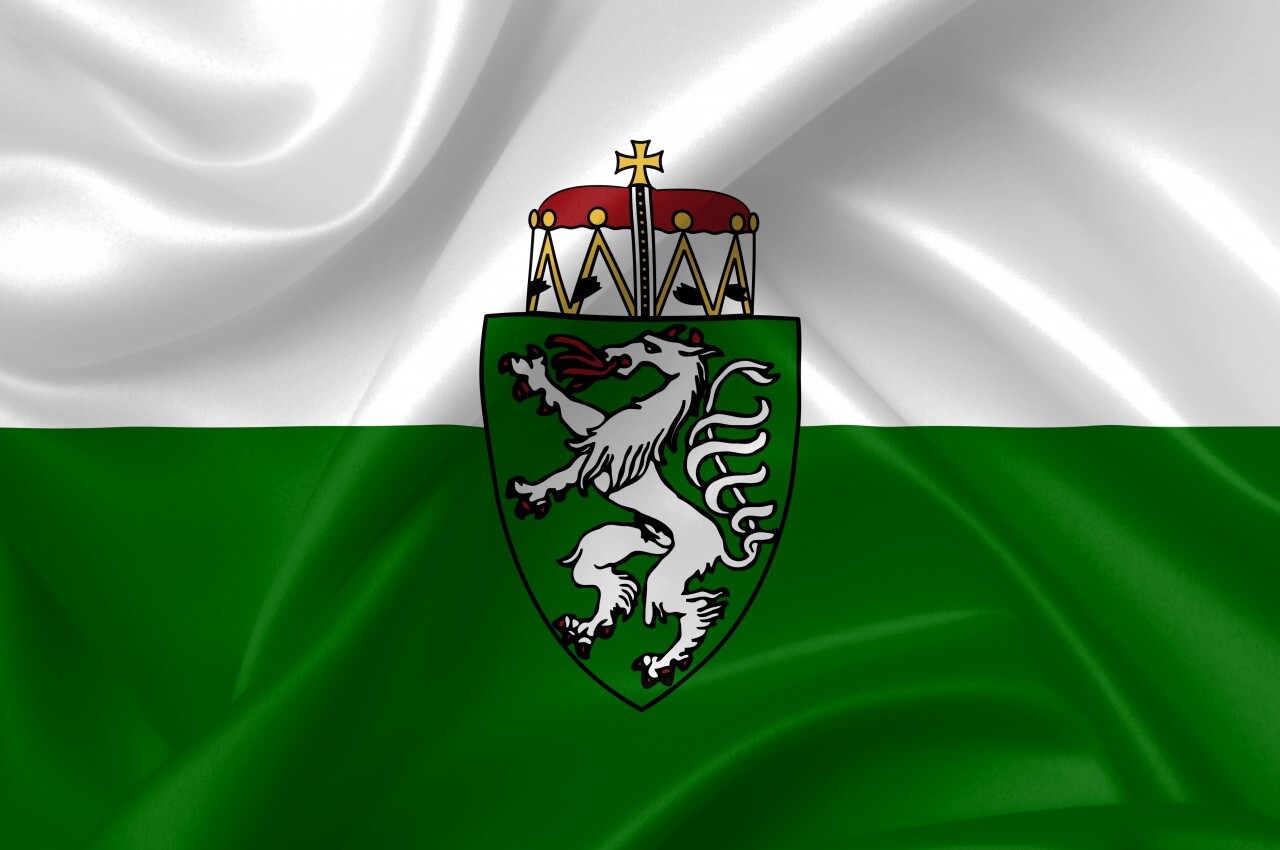 flag of styria country symbol illustration