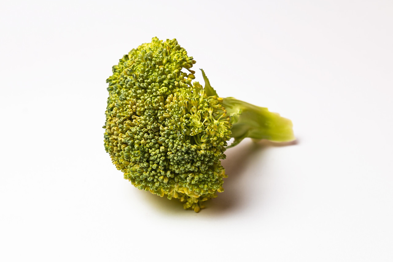 Broccoli isolated on white background