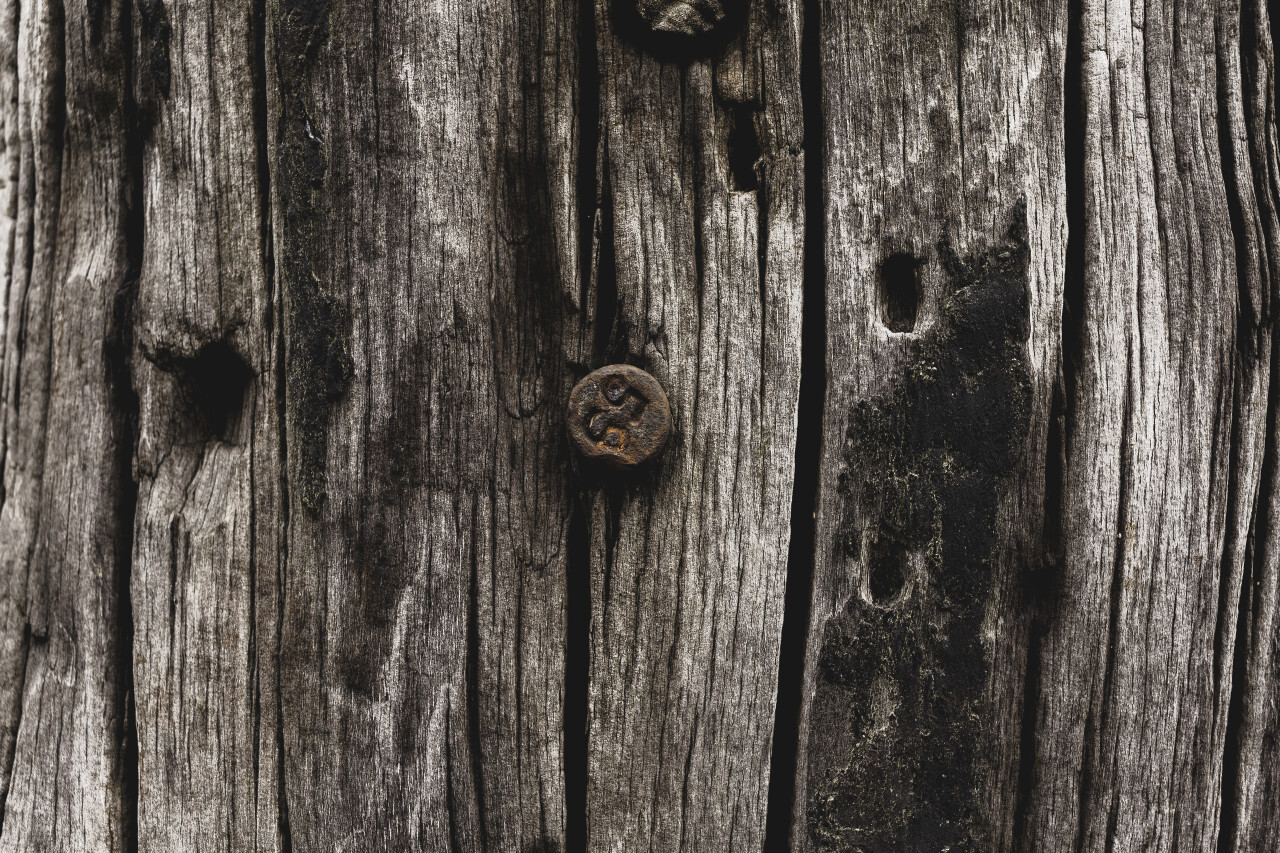 brown wood texture