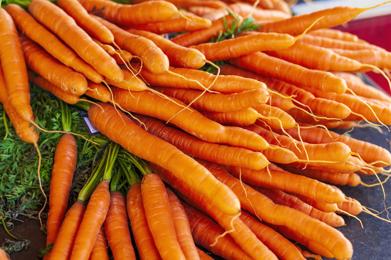 fresh carrots from a market somewhere in germany