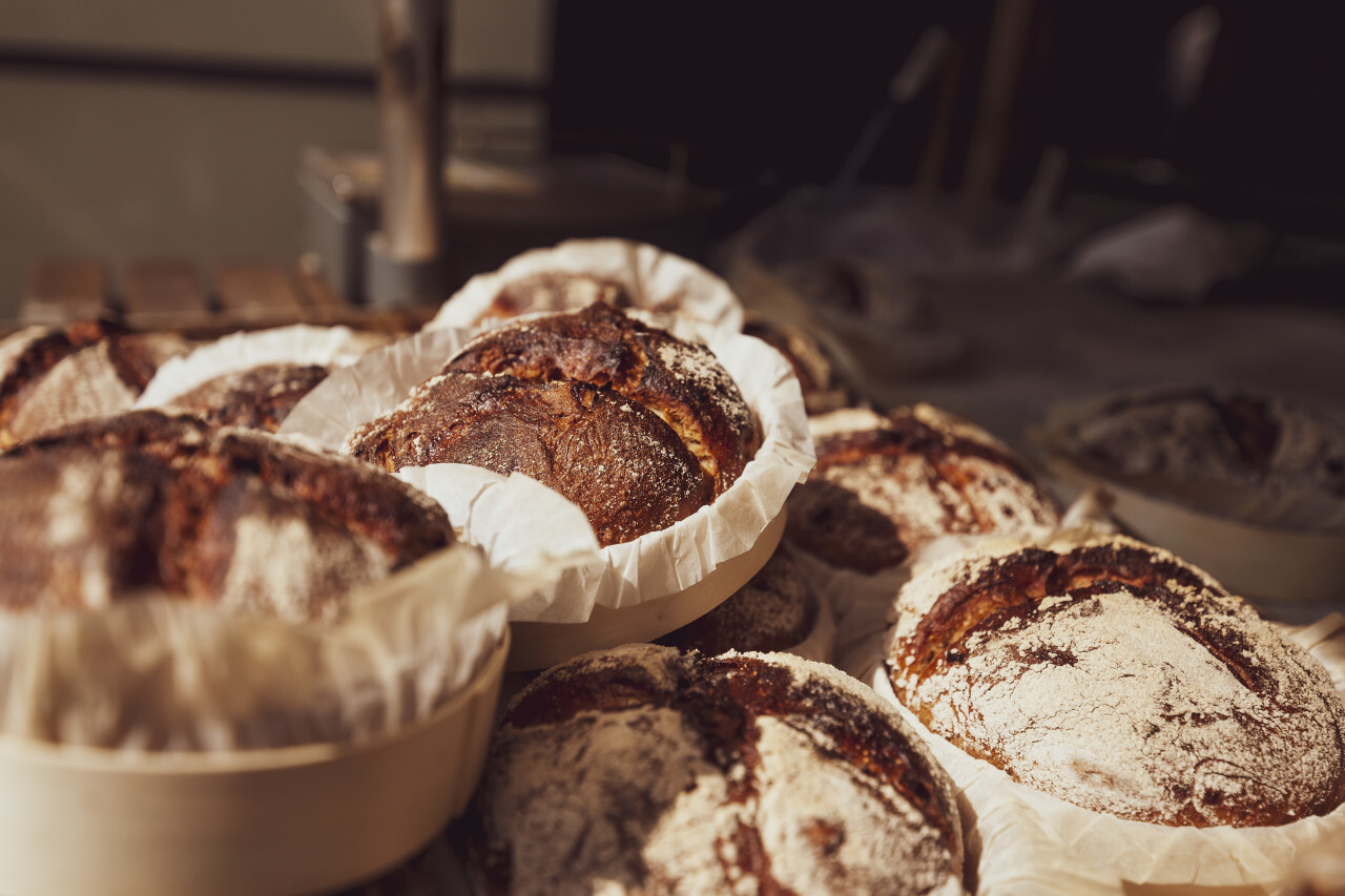 freshly baked traditional german bread