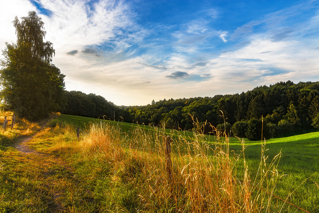 beautiful rural landscape