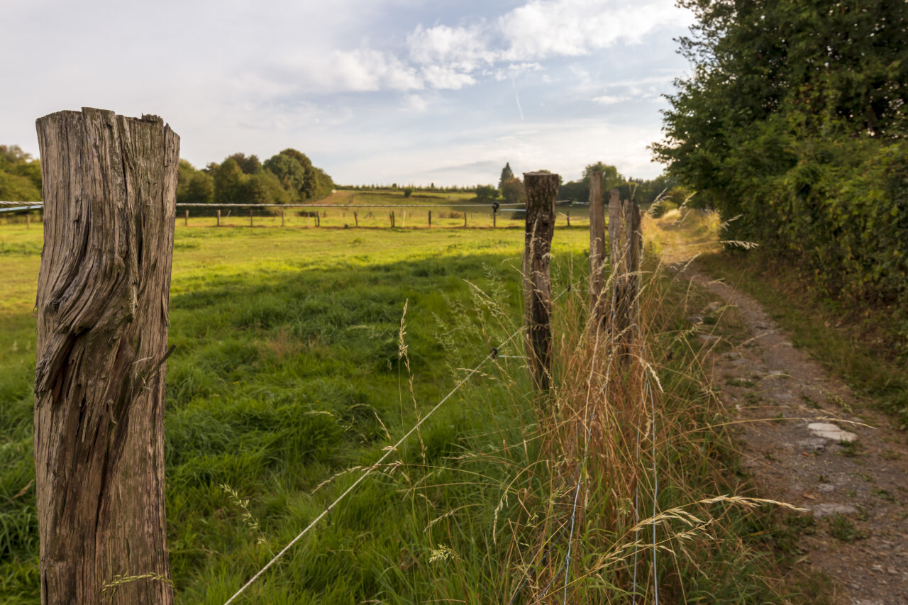 fence on the dirt road between fields