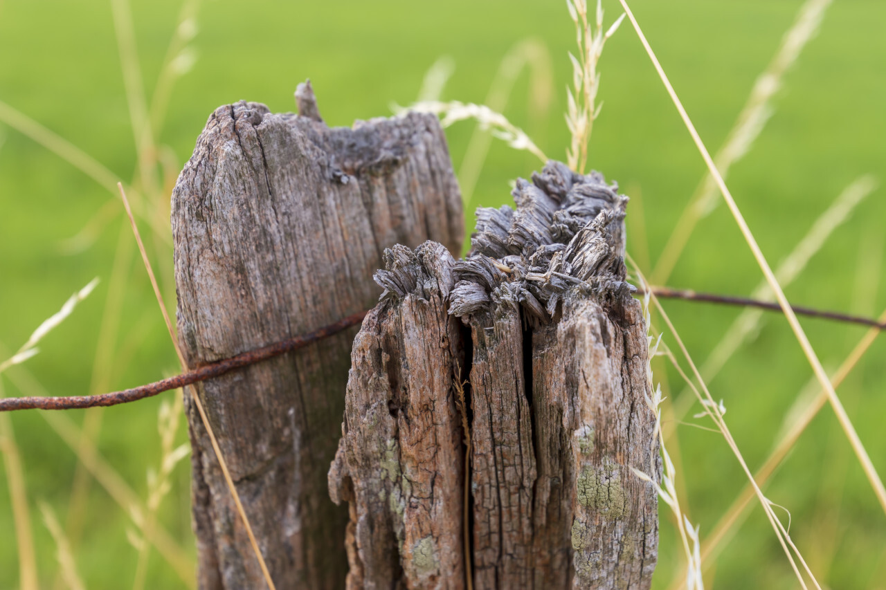 rural fence post