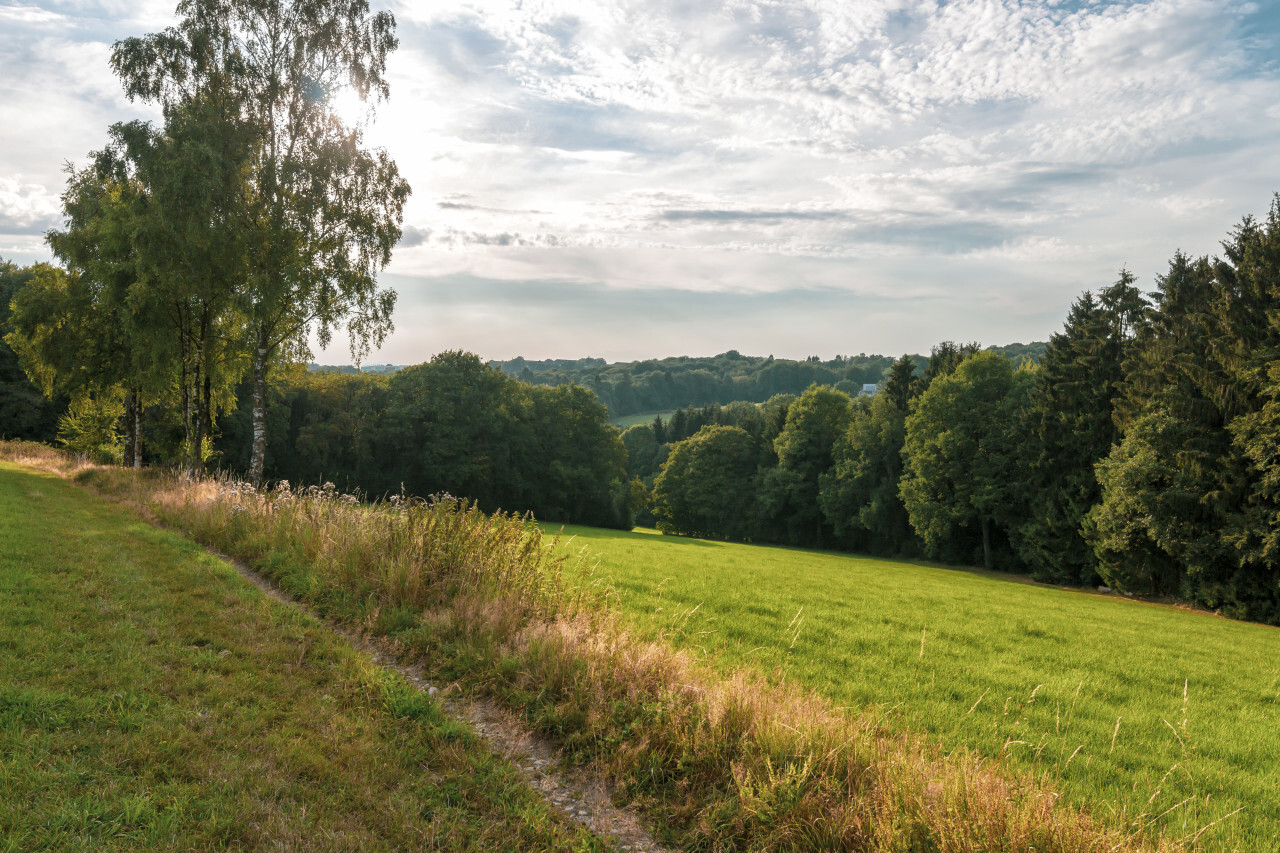 rural german landscape