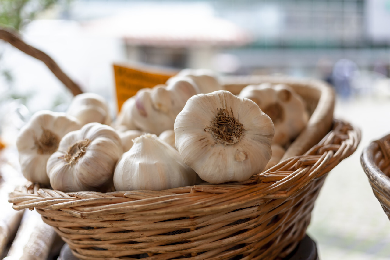 garlic in a basket	on the market