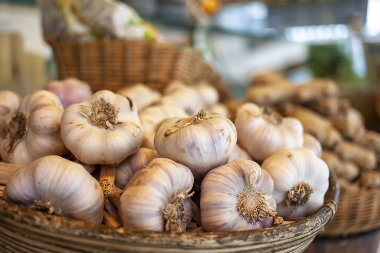 garlic in a basket	on the market