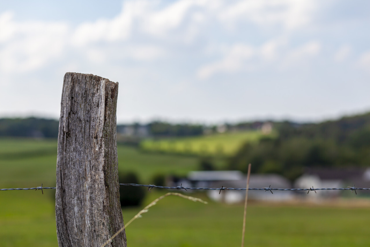 fencing post