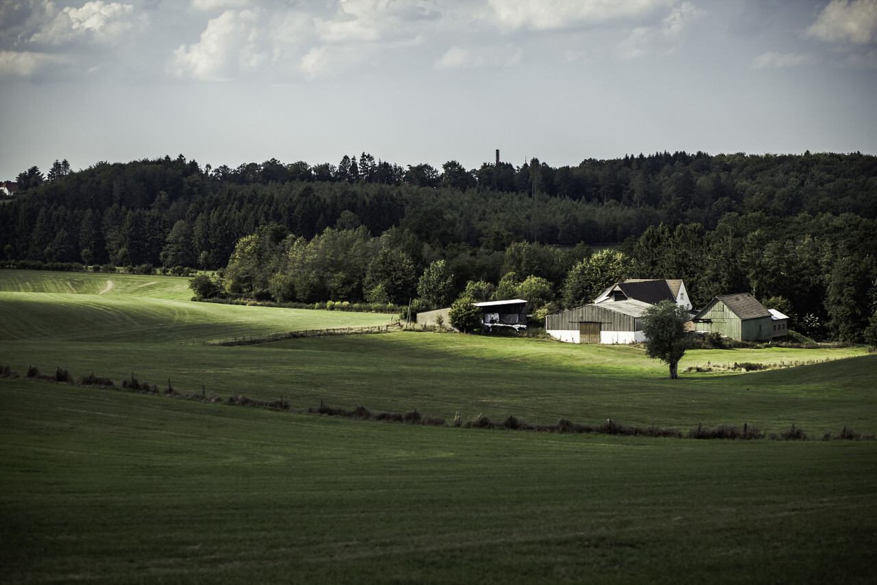 rural landscape