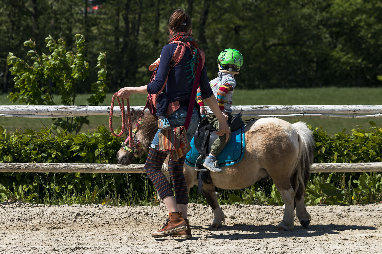 child is riding a pony