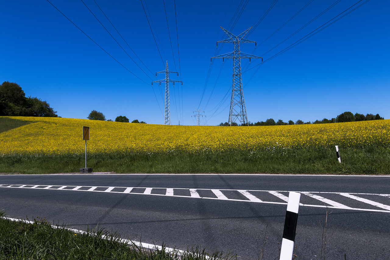 landscape with power poles