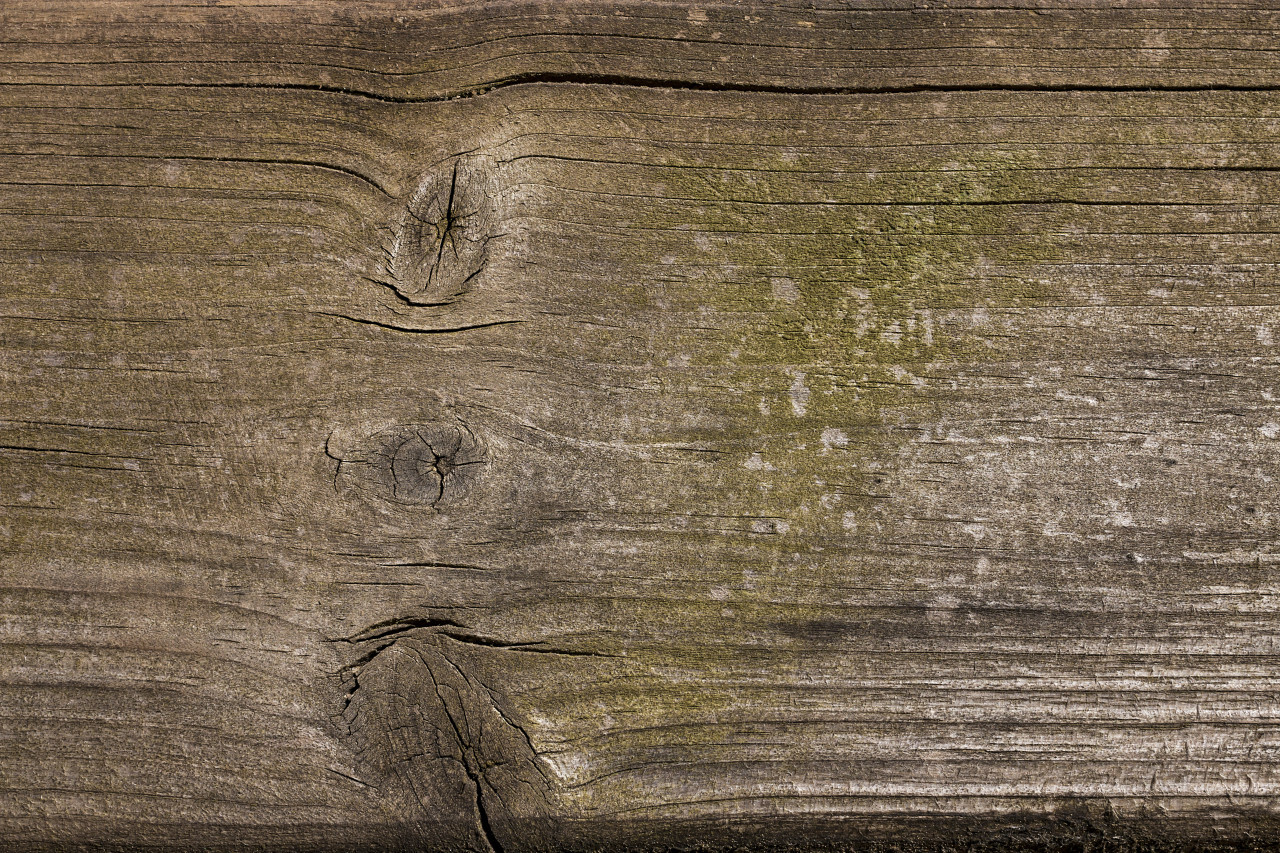 wood grain texture