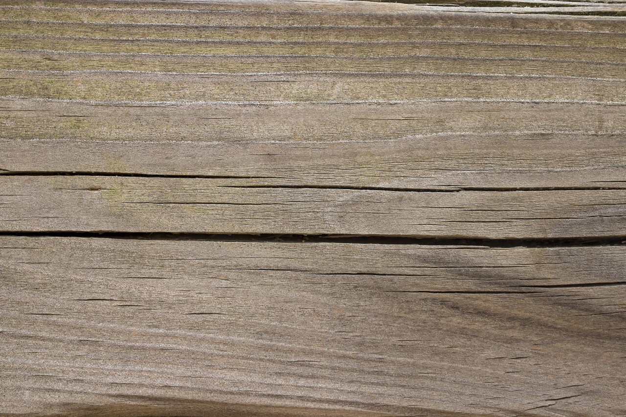 wood grain texture