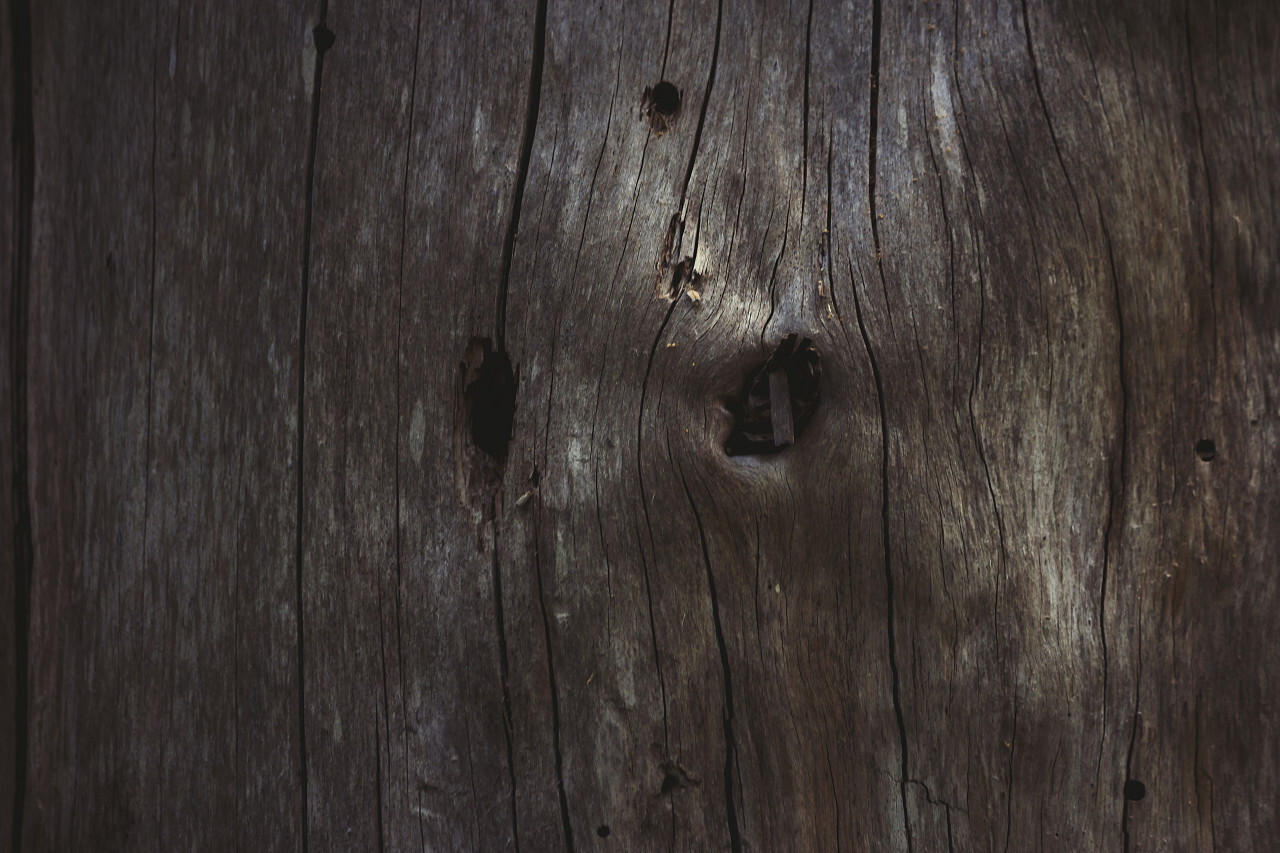 natural woodgrain texture