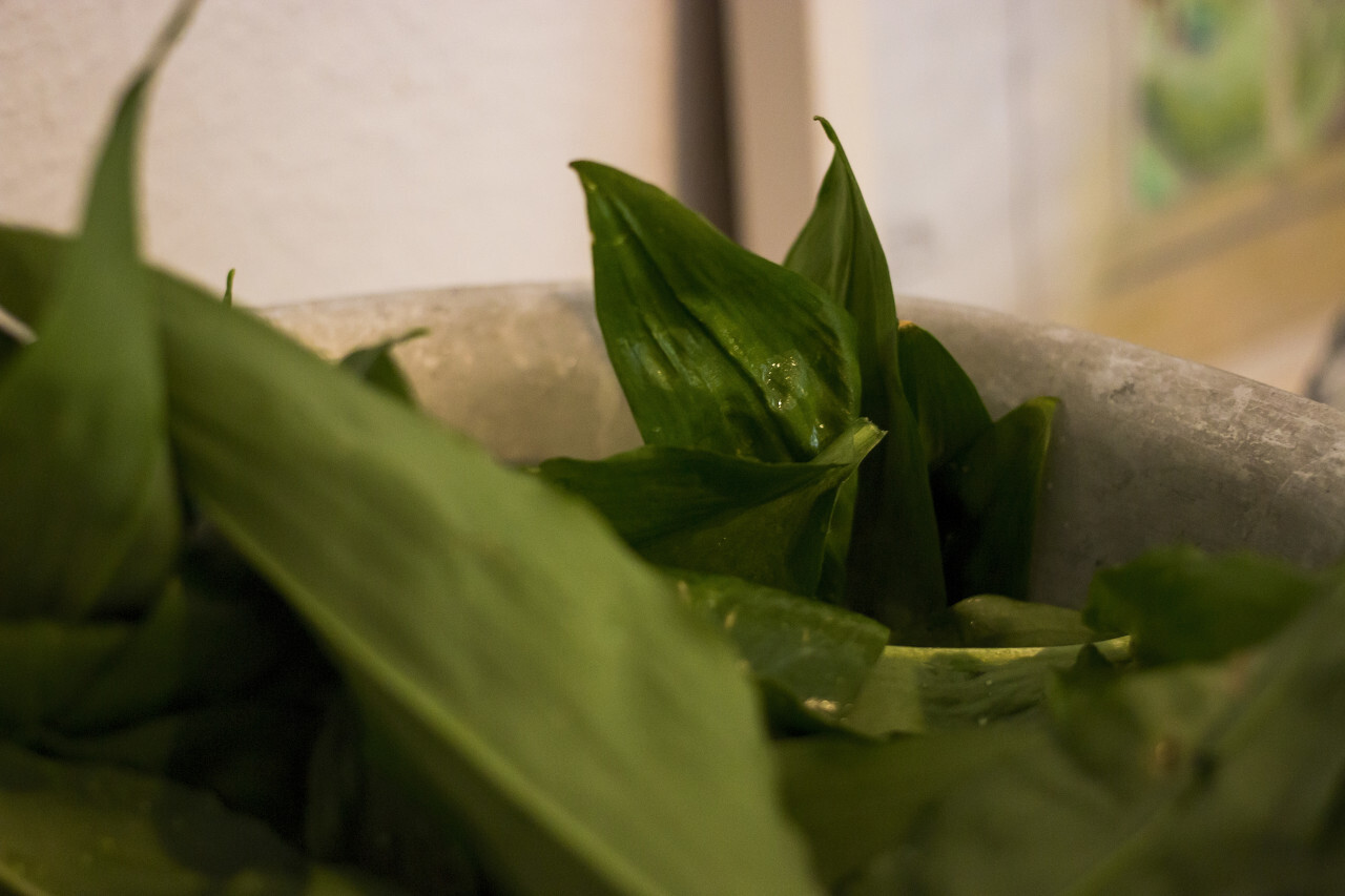 washed wild garlic