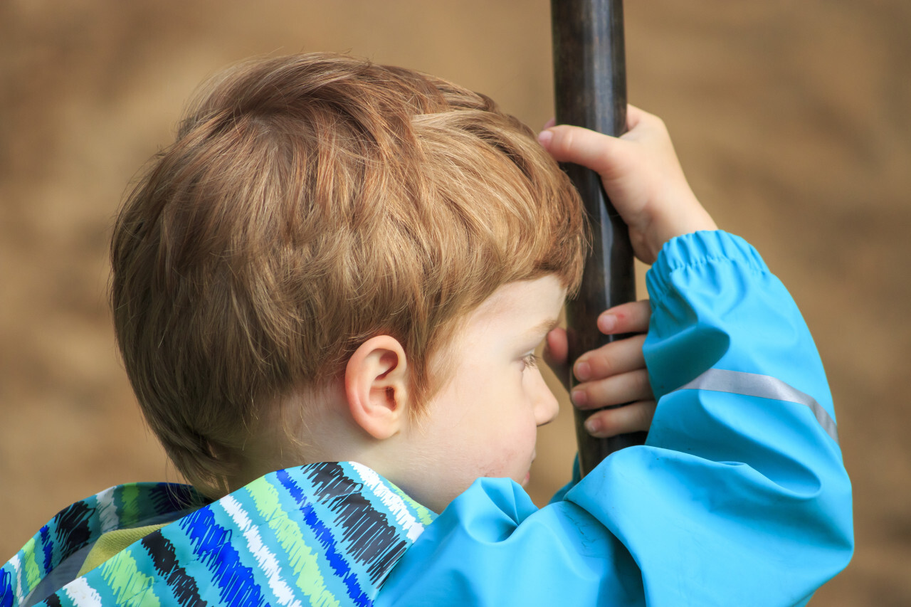 Little Boy on a Monkey Swing