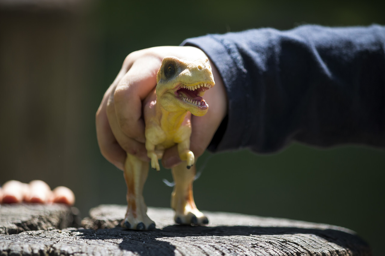 child plays with toy dinosaur