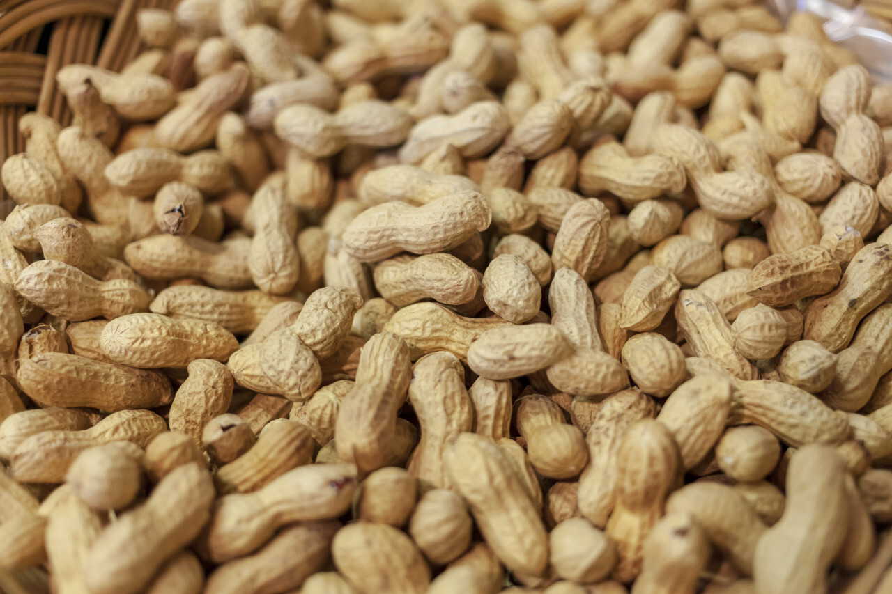 Ripe peanuts background