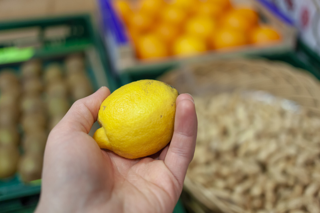 Lemon in hands on a market