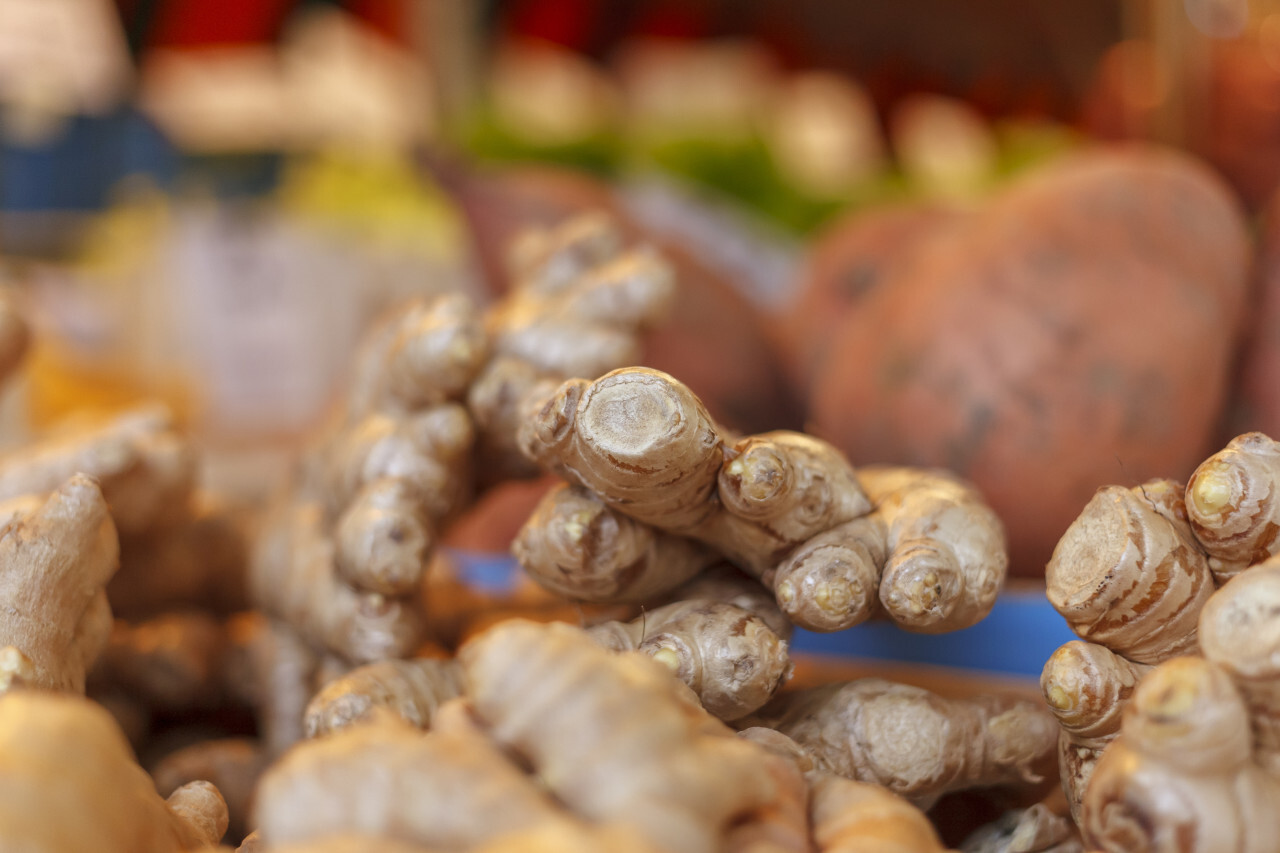 Bunch of Fresh Ginger Root on a market