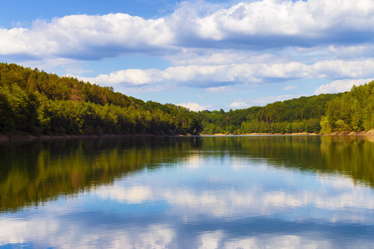 beautiful lake in summer