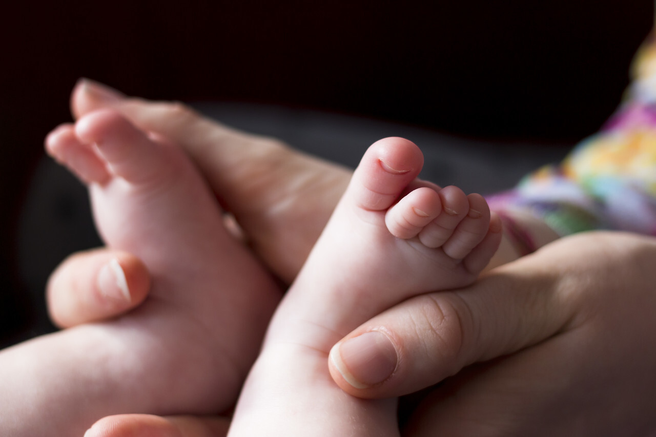 Newborn baby feet on female hands