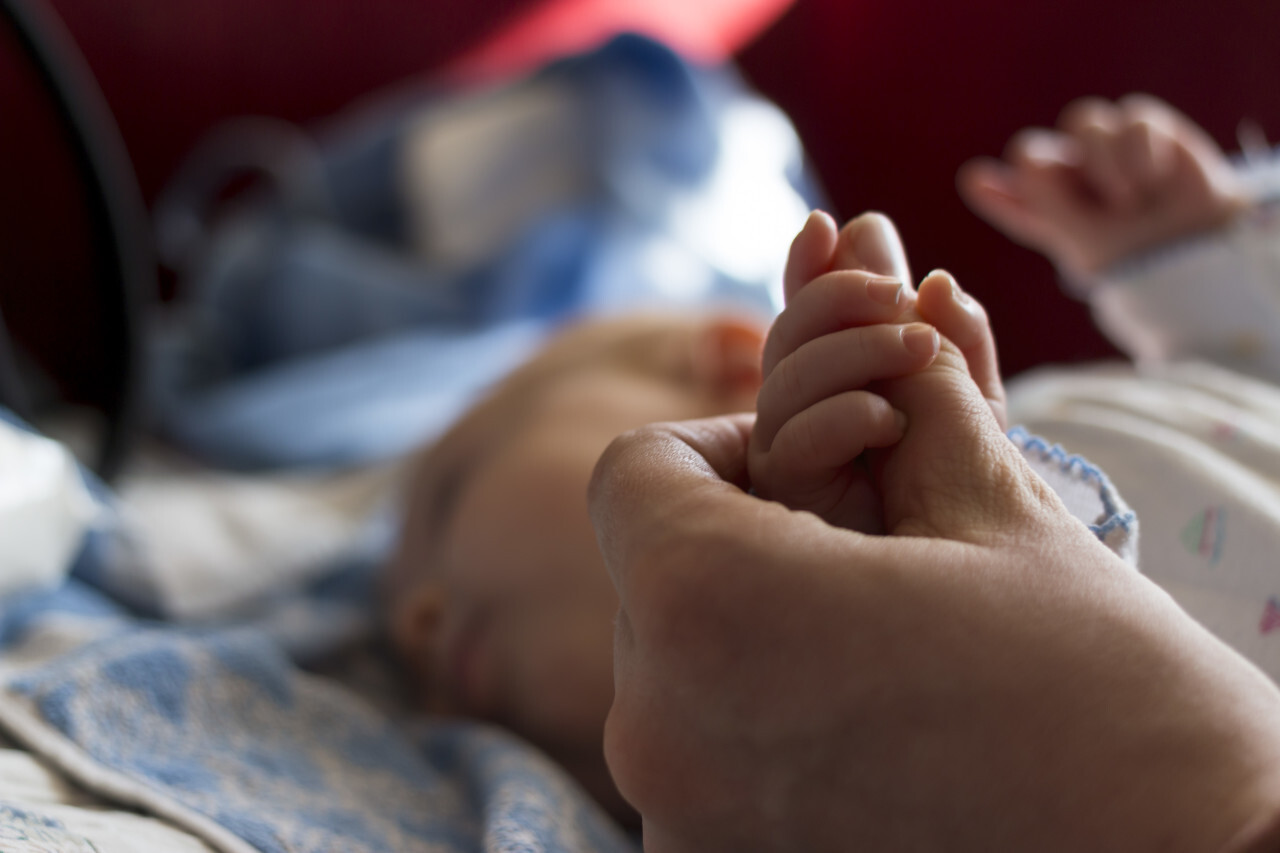 baby in the hand of mother