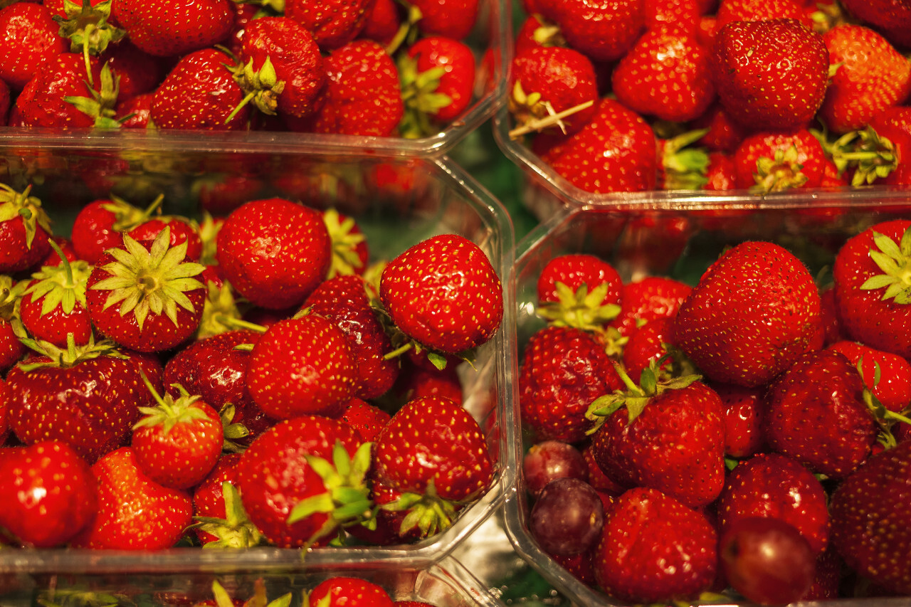 strawberries in transparent plastic boxes