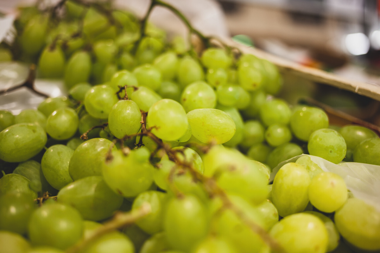 fresh ripe grapes