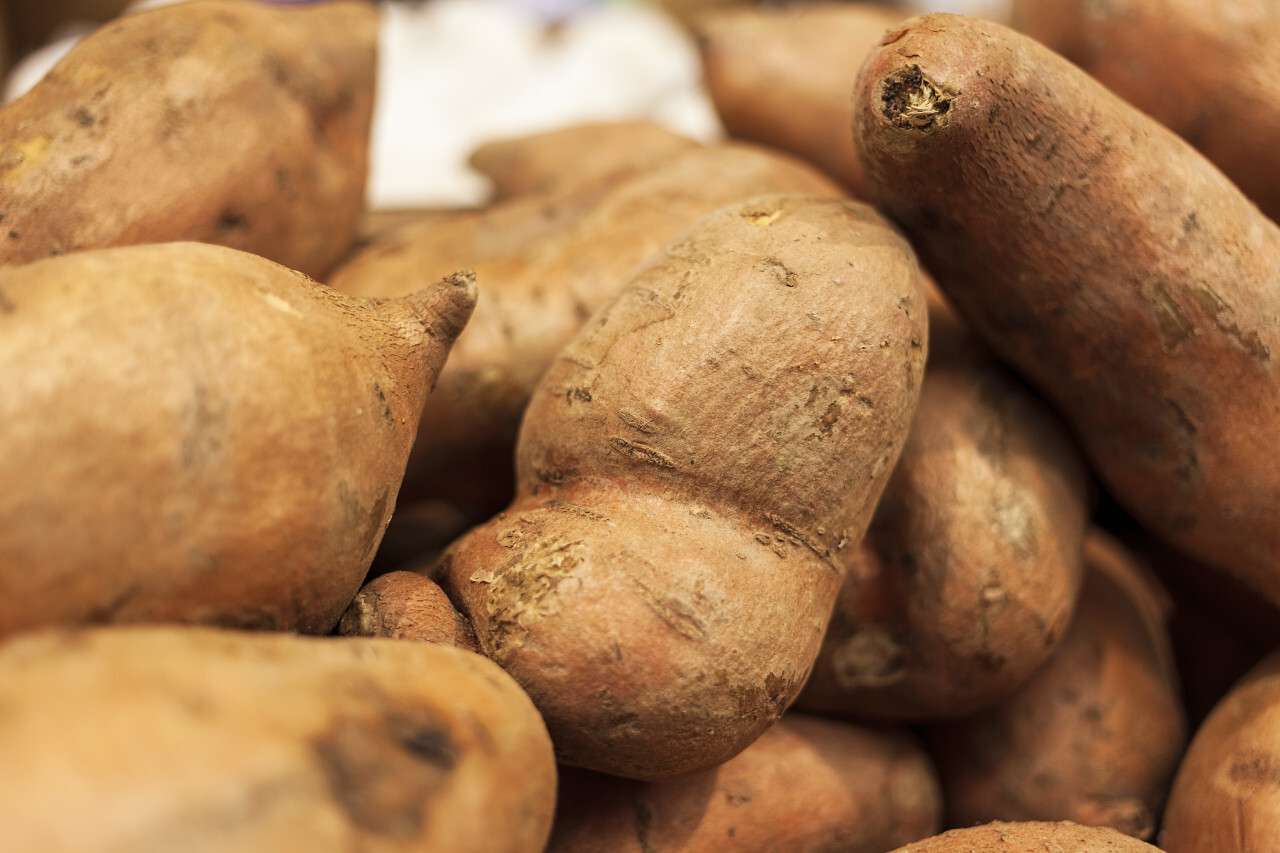 Organic Raw Sweet Potatoes from the market