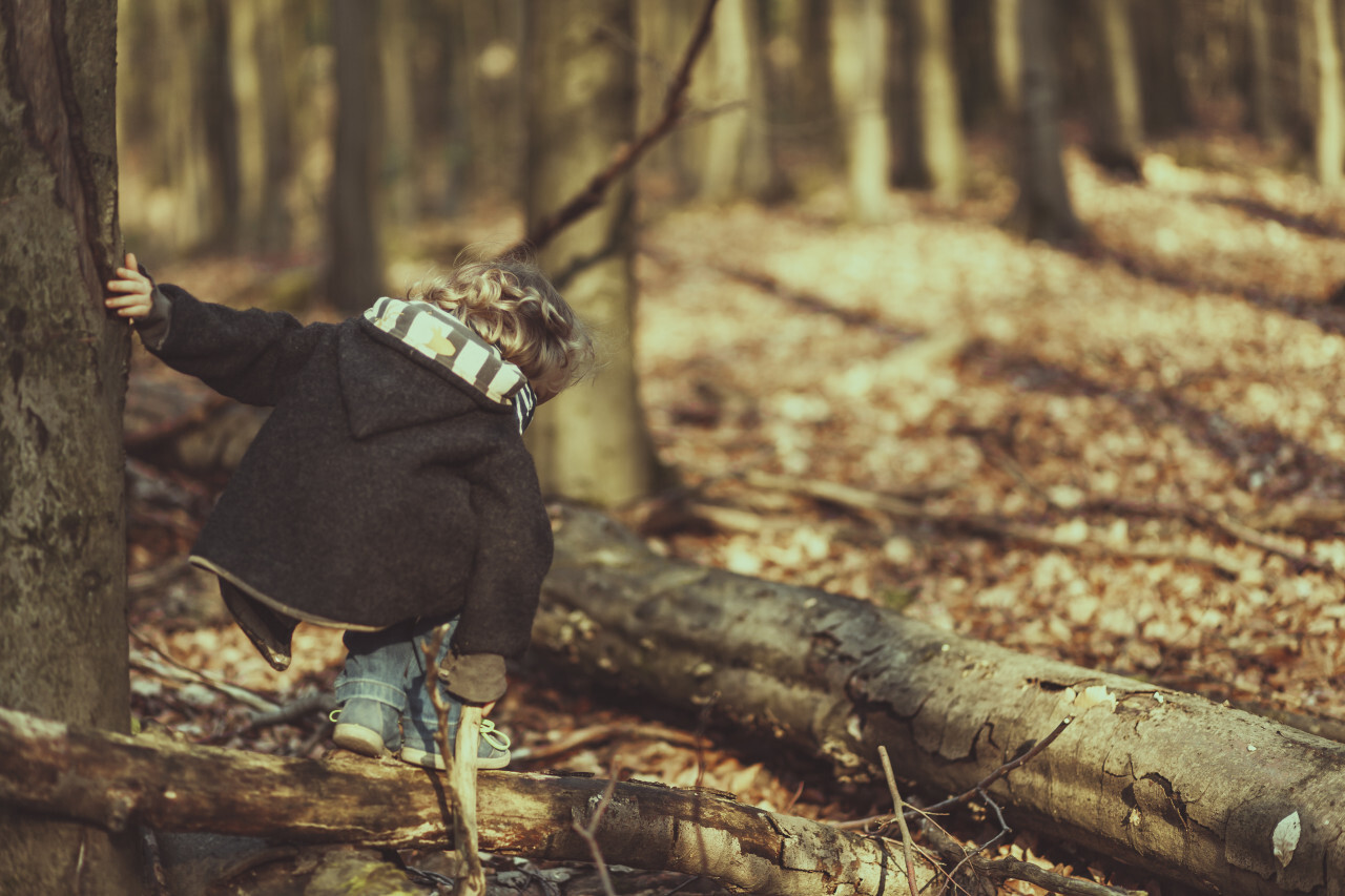 Little boy climbs a tree trunk in the autumn forest