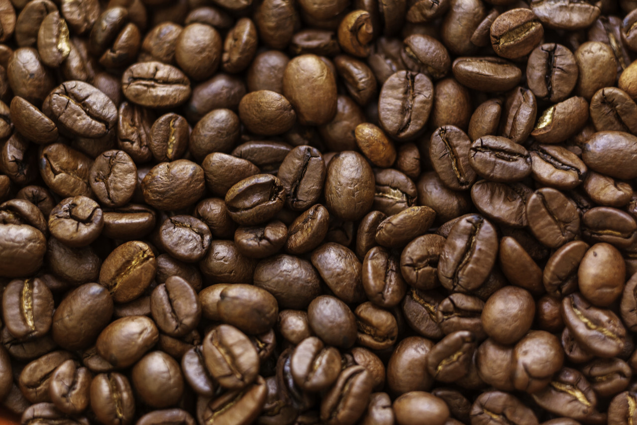 Coffee beans background