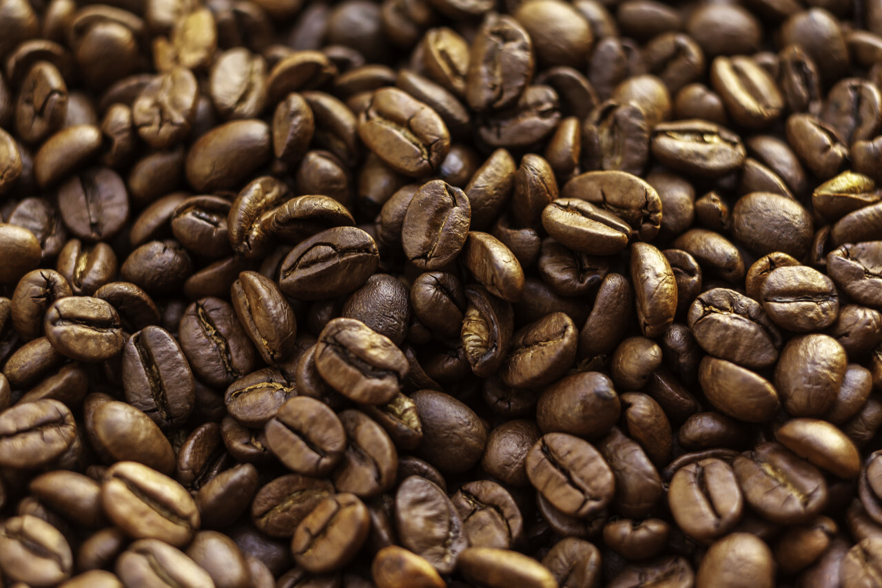 Coffee beans background