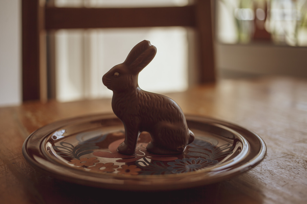 Chocolate Easter bunny on a brown plate in the dining room