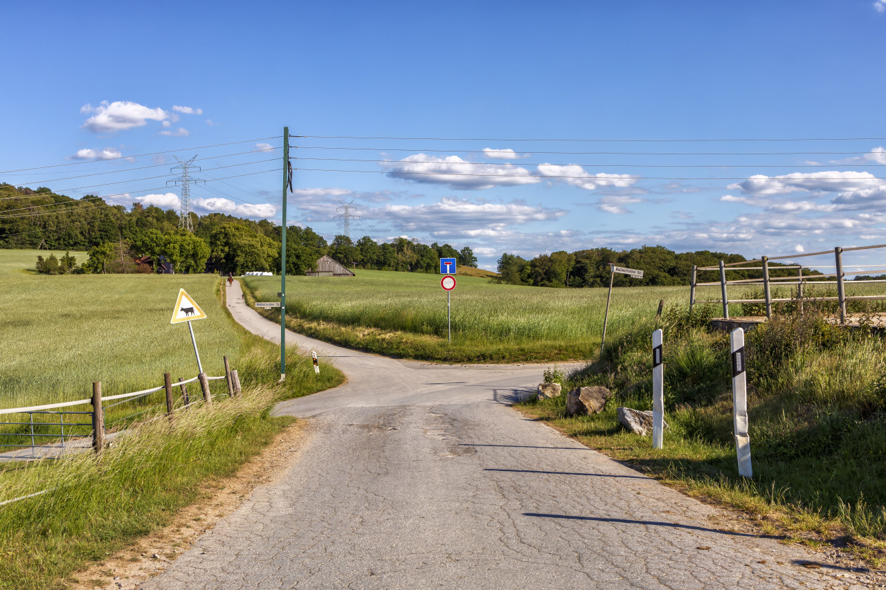 Country road surrounded by fields intersects