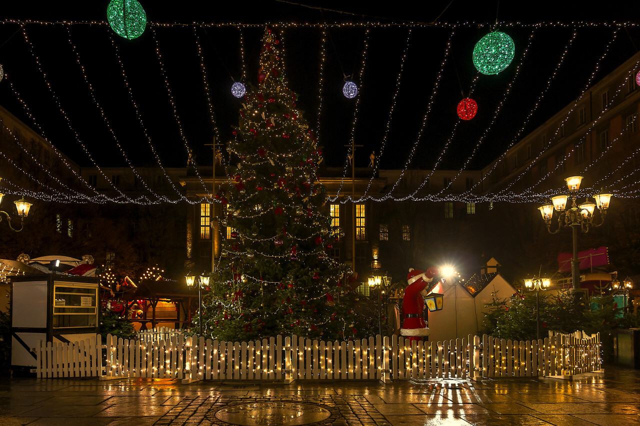 big christmas tree on a german christmas market