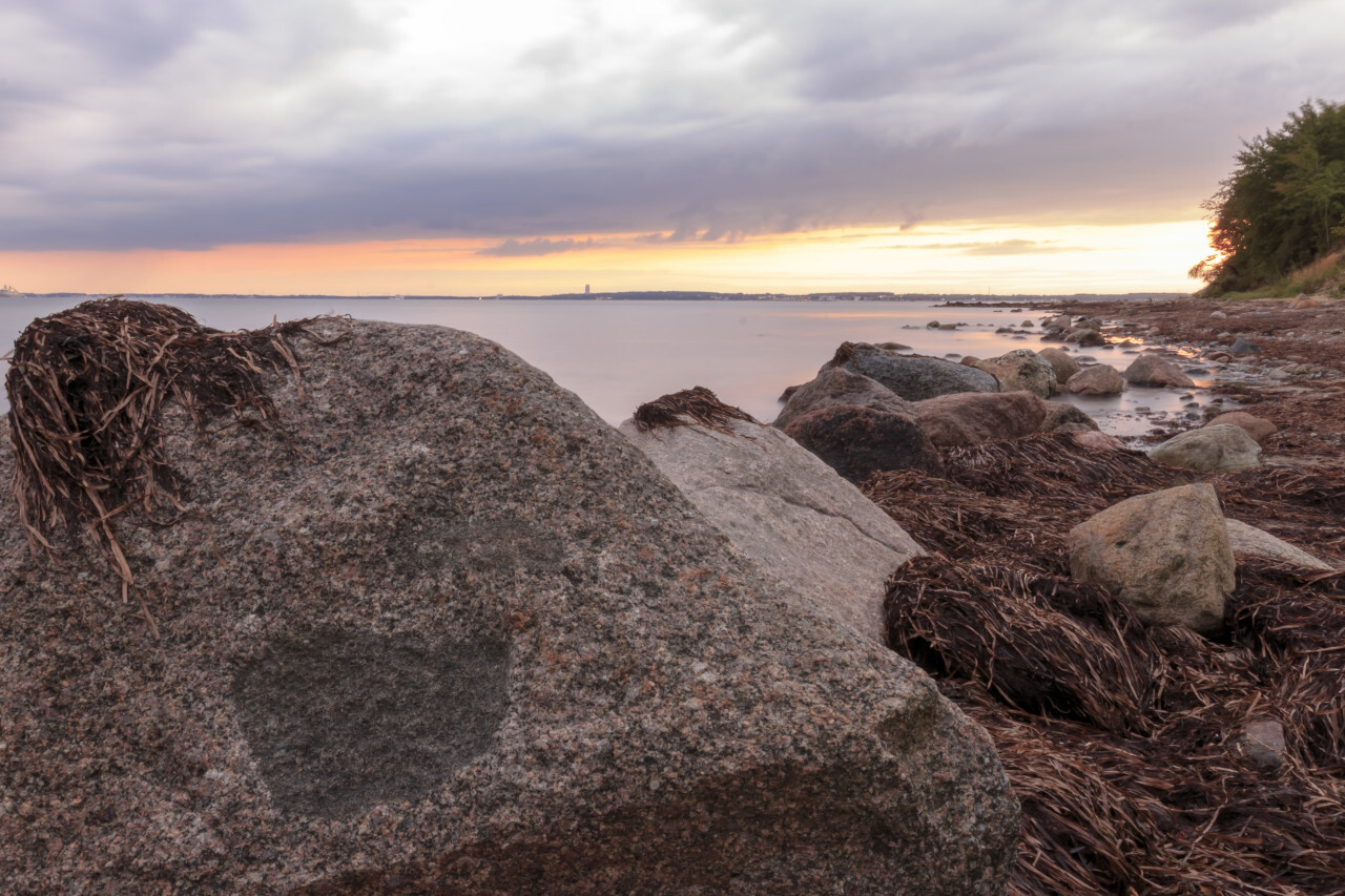 On the Beach at the baltic sea in germany by Scharbeutz