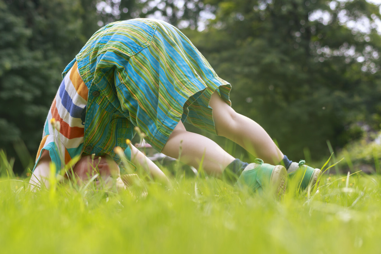 Toddler in dungarees tries to make a somersault on a meadow in summer