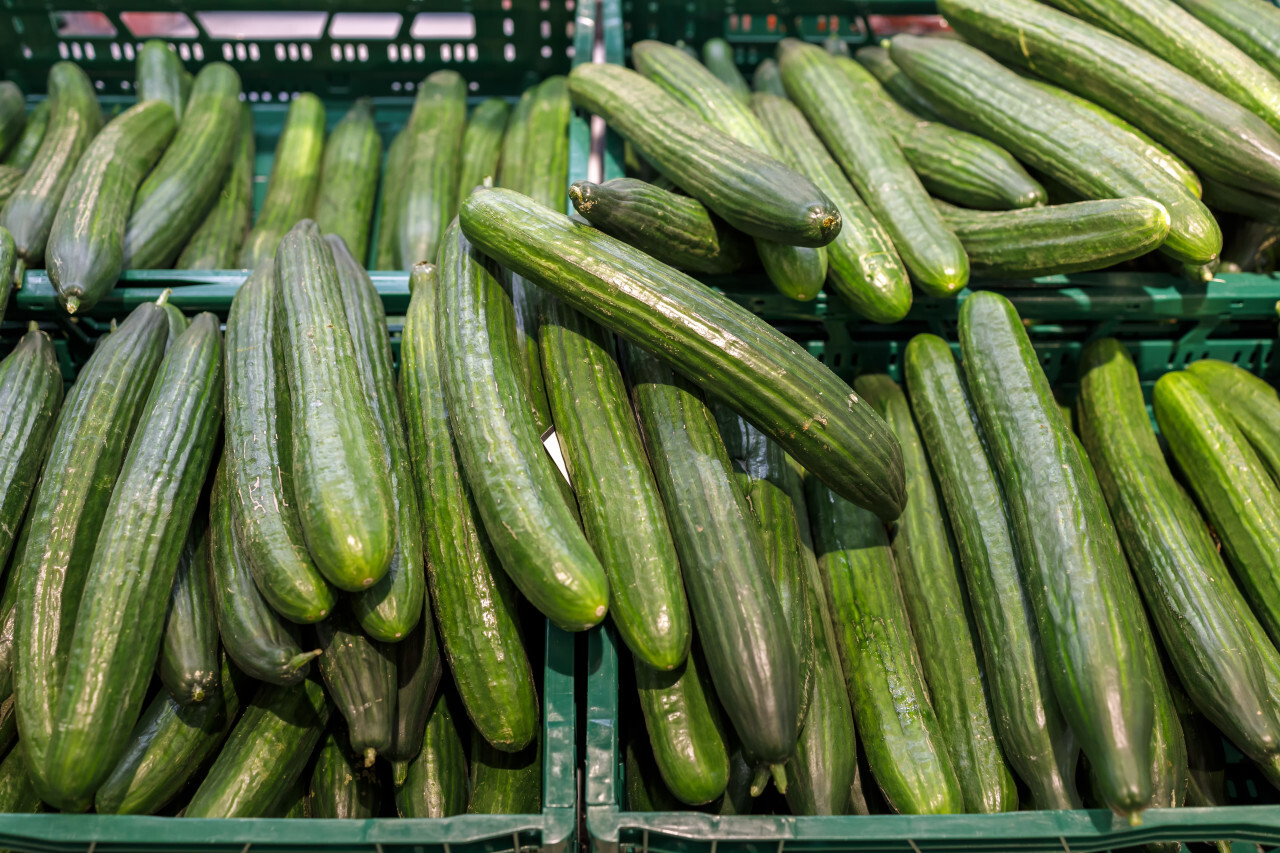 Freshly harvested small and big green vegetables in boxes on farmers market shelves close-up.